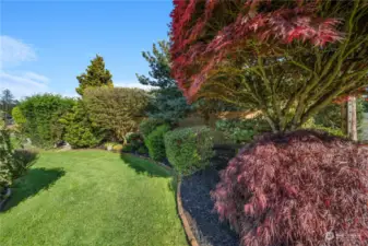 Meticulous landscaping throughout this beautiful lot.