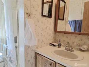 The hall bath has a large shower.