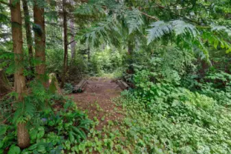 Trail right off the backyard