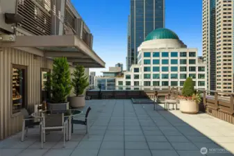 Dining, sunning, barbecuing, enjoying, relaxing, entertaining and pet relief area too on the rooftop deck.