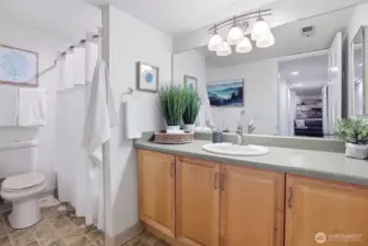 Full bathroom on the lower level.