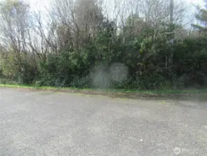 VIEW OF 4 DRIFTWOOD WHICH IS ONE OF FOUR INDIVIDUAL PROPERTIES COMBINED TO MAKE THE +/- 41/2 ACRES BEING OFFERED!