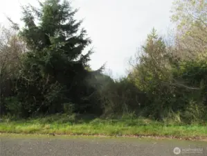 ANOTHER VIEW  OF 8 DRIFTWOOD WHICH IS ONE OF FOUR INDIVIDUAL PROPERTIES COMBINED TO MAKE THE +/- 4 1/2 ACRES BEING OFFERED!