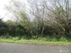 ANOTHER VIEW OF 16 DRIFTWOOD WHICH IS ONE OF FOUR INDIVIDUAL PROPERTIES COMBINED TO MAKE THE +/- 4 1/2 ACRES BEING SOLD!