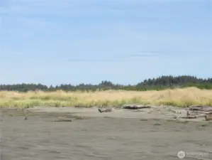 BEACH VIEW OF 4 DRIFTWOOD!