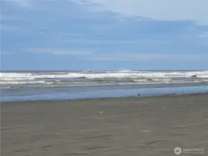 THIS COULD BE YOUR VIEW OF THE PACIFIC OCEAN FROM A 2 OR 3 STORY HOME ON YOUR +/- 4 1/2 ACREA HOME!