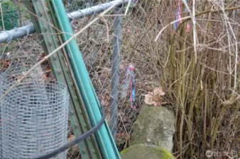 SE corner of lot is the white marker