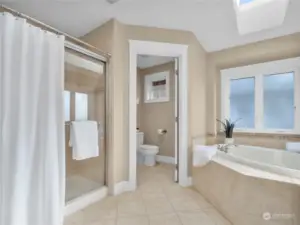 Generous walk-in shower and separate toilet room.