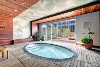 Jacuzzi with private tanning/lounging outdoor area.