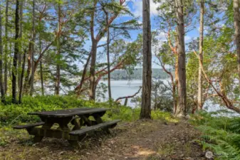 Community parks & trails!