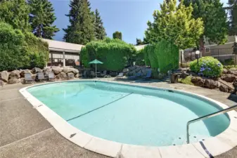 Pool update currently in progress
