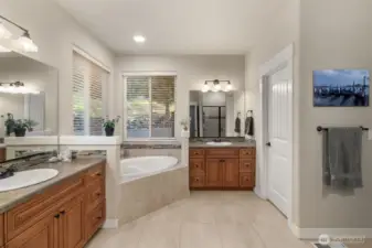 Spa-inspired bathroom with extra large tub and separate shower.