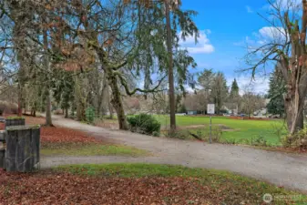 There are some wonderful walking/running/hiking/biking trails in the Ravenna Ravine.  It takes you directly to University Village via the scenic route.