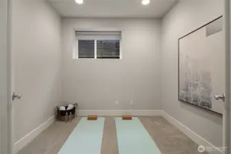 Lower Level - Bonus Room