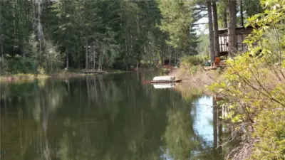 Collins Lake from the property.