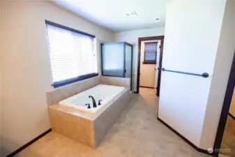 Master bathroom (second angle).