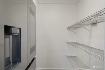 Walk-in Pantry