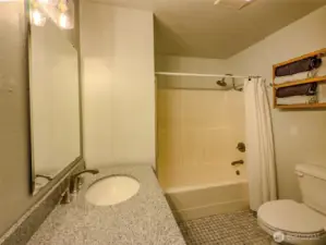 Primary full bath