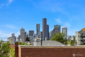 City Views