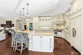 A state of the art kitchen to serve breakfast over the bar, or enjoy a cup of coffee while the chef prepares the most magnificent meals.