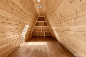 Wait until you see this top secret room! If you can find it.
