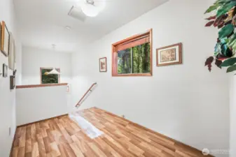 Stairs Down to Lower Level