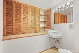 Bathroom on Lowest Level