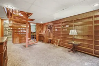 Rec room on lower level with enough shelves for all your books!