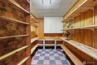 Huge Pantry closet on lower level.