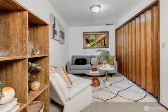 Lower level living room.