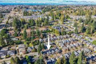 Serrano is a planned detached condo community just behind Mill Creek Town Center