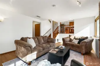 Lower level family room.