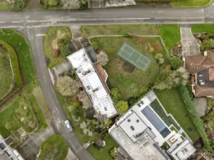 Rare nearly level lot in West Bellevue