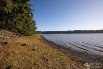 Beautiful beachfront with shellfish.