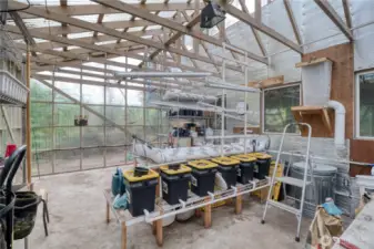 Green house in the backyard for growing your favorite plants, vegetables, fruits.