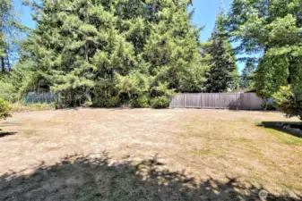Look at this massive backyard!
