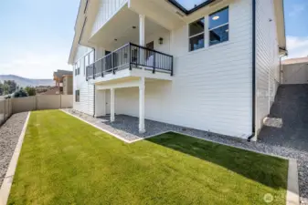 Back Yard