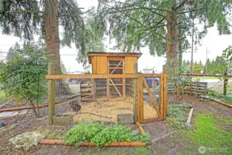 Cute little chicken coop