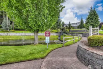 Walking trails by the ponds