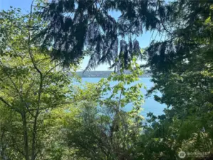 The view of Hood Canal can be opened up!