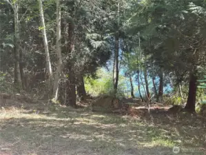 The closer you get to the bluff the better the view!