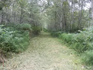 Driveway to property.
