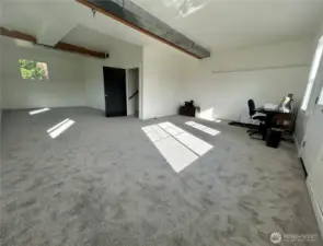 Lower level with brand new carpet and large laundry room
