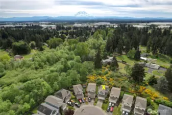 Lots of green privacy behind the homes here. Look at Mt Rainier waaay out there!