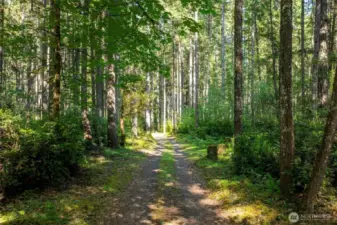 Peace & Privacy as you meander through acres of Forest to your private retreat!