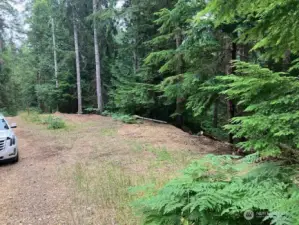 (2of4)1st cleared level area you drive up on when entering
