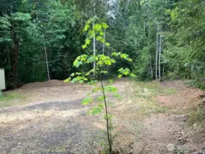 2nd cleared area