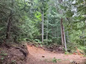 3rd cleared area