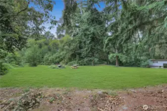 Expansive Backyard