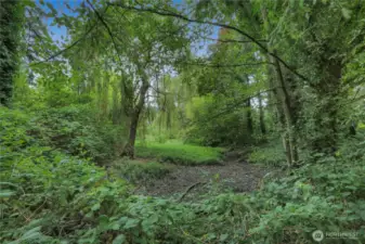 Slough that runs through property